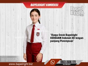 Harga SERAGAM Sekolah SD lengan panjang Perempuan